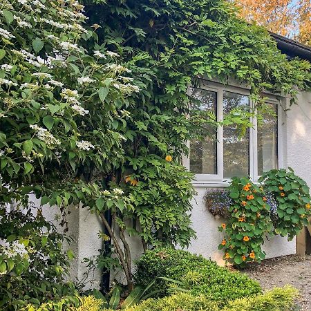 Вилла Primrose End Буде Экстерьер фото